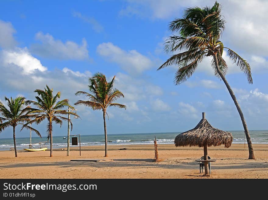 Beach with palm trees and parasol table. Beach with palm trees and parasol table