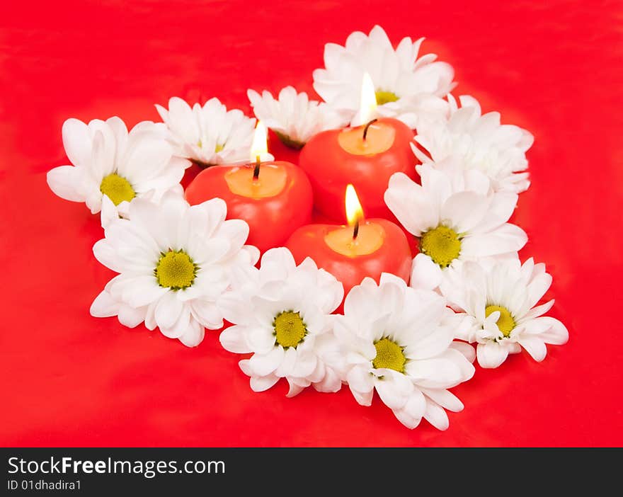 Candles surrounded by chamomiles over red