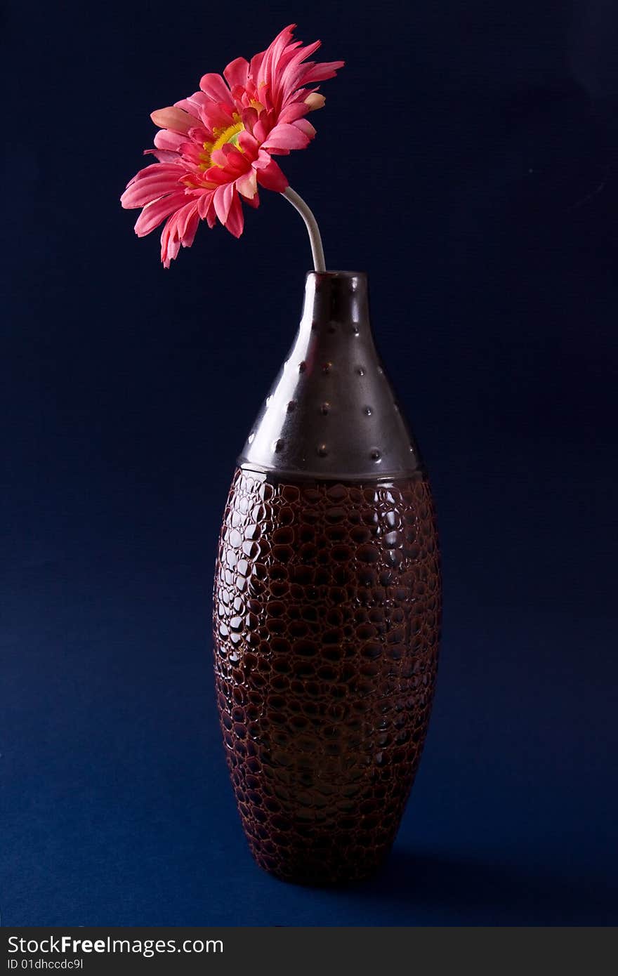 A single gerbera daisy in a vase