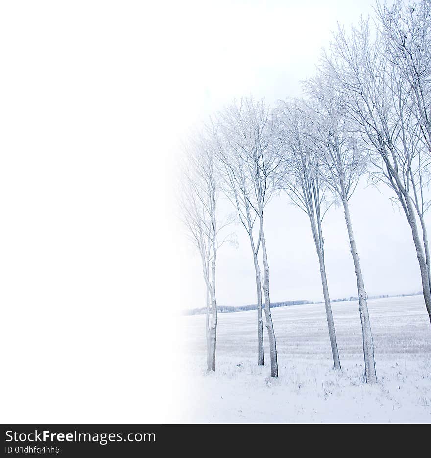 Frozen trees