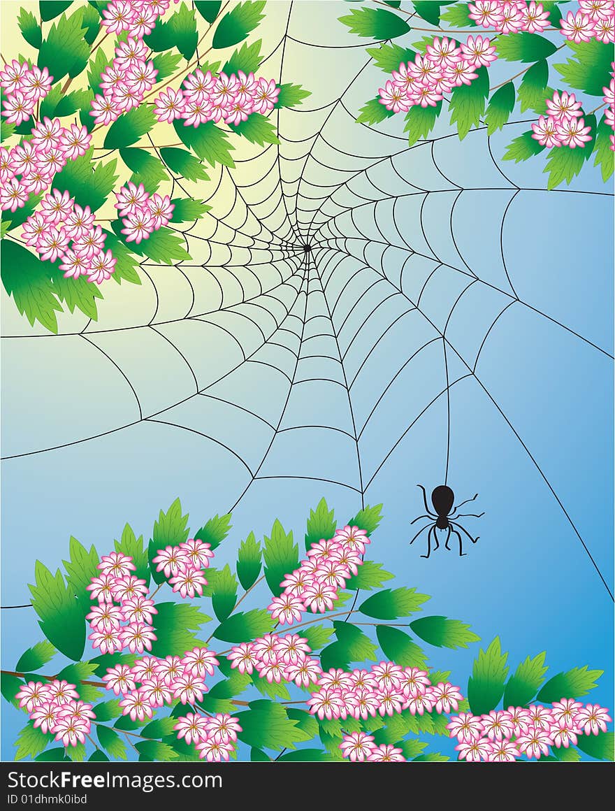 The vector illustration contains the image of spring tree with spider