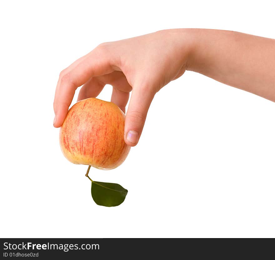 Girl's hand with apple  isolated on white background. Girl's hand with apple  isolated on white background