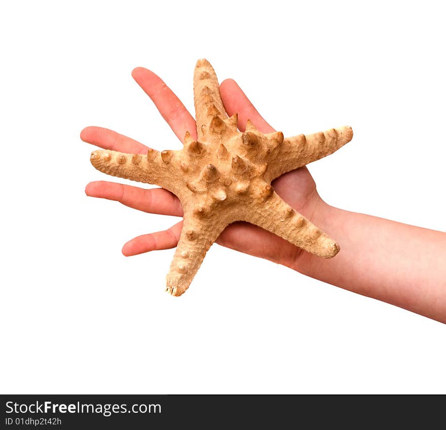 Girl s hand holding starfish