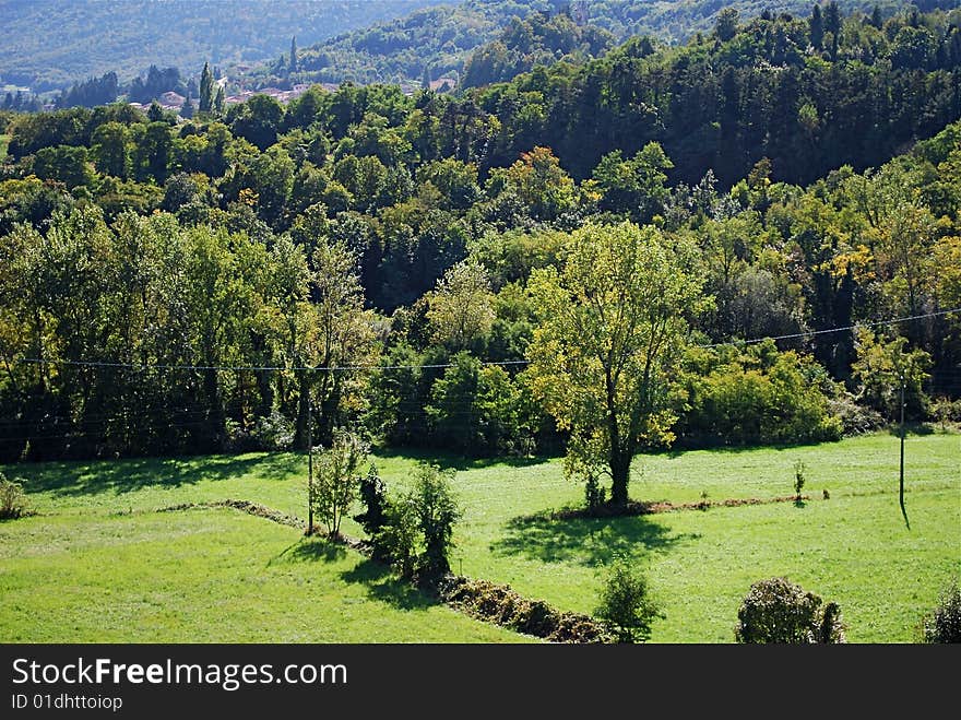 October Green Landscape