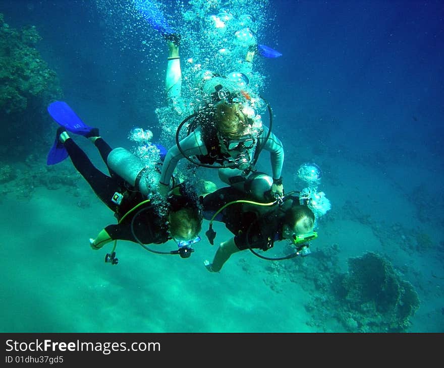 Egypt - Red Sea, divers and corals