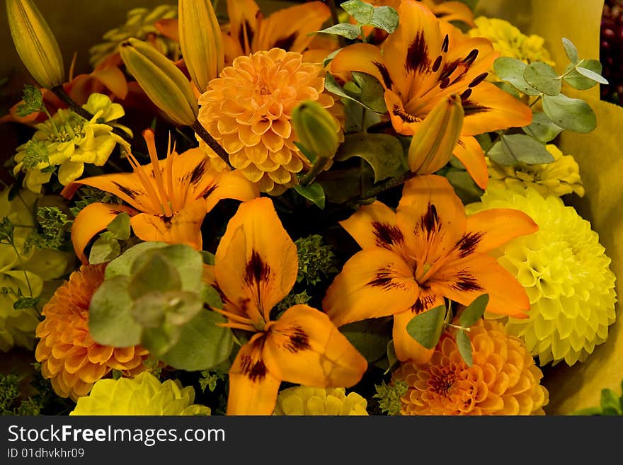 Bright Orange and Yellow Flowers