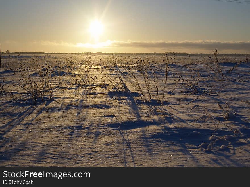 Winter rural landscape