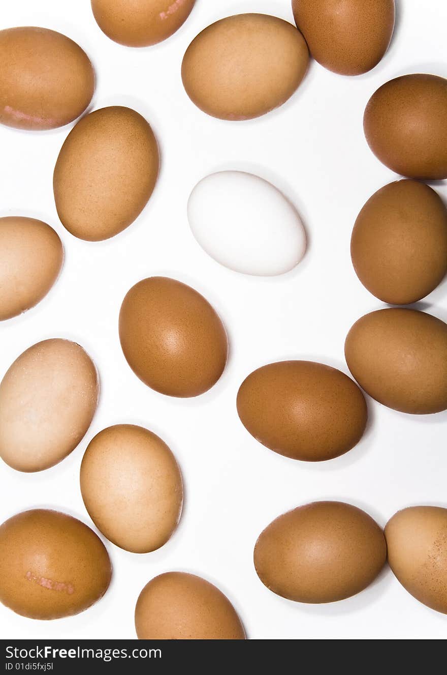 Eggs on white background. One white, rest beige.