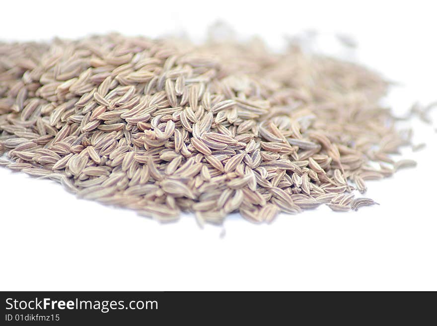 Corriander Herbs and spices on white background