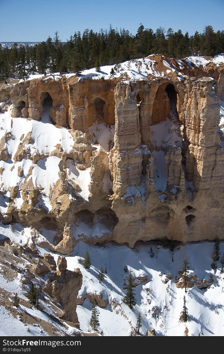 Cliff Carvings At Bryce Point