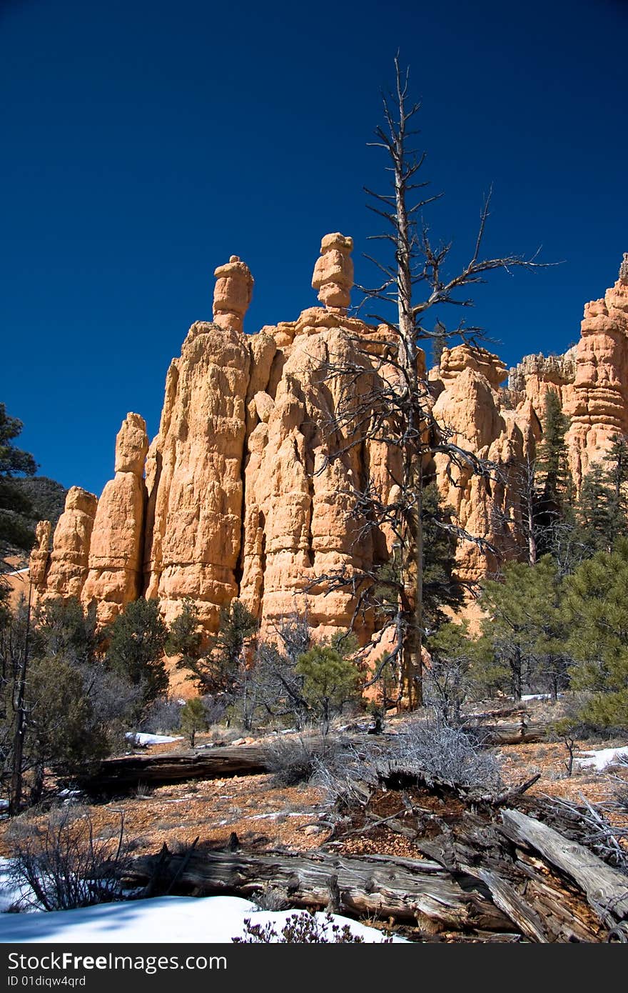 Red Canyon is located along Scenic Byway 12, just 9 miles from Bryce Canyon. Red Canyon is located along Scenic Byway 12, just 9 miles from Bryce Canyon.