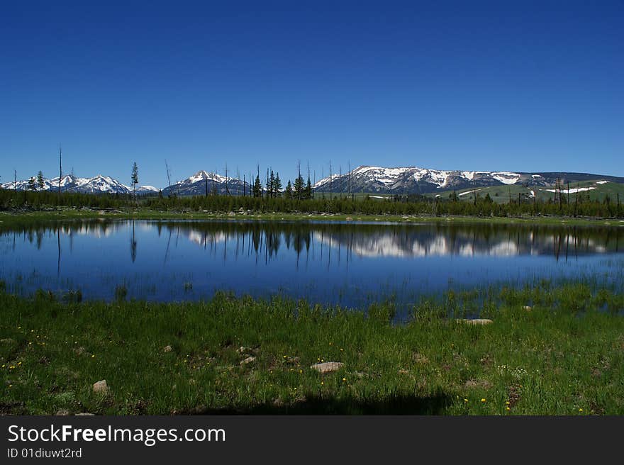 Snow mountain in summer