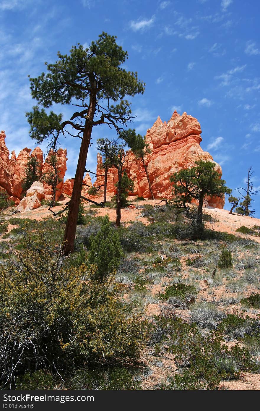 Hill And Sky At Bryce Canyon