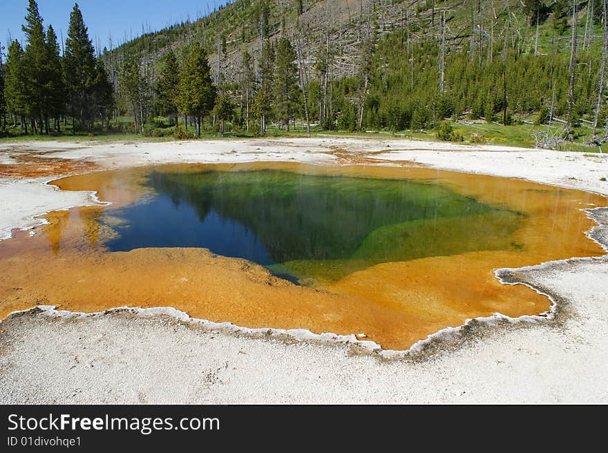 This picture was taken in a Yellowstone National Park in summer. This picture was taken in a Yellowstone National Park in summer.