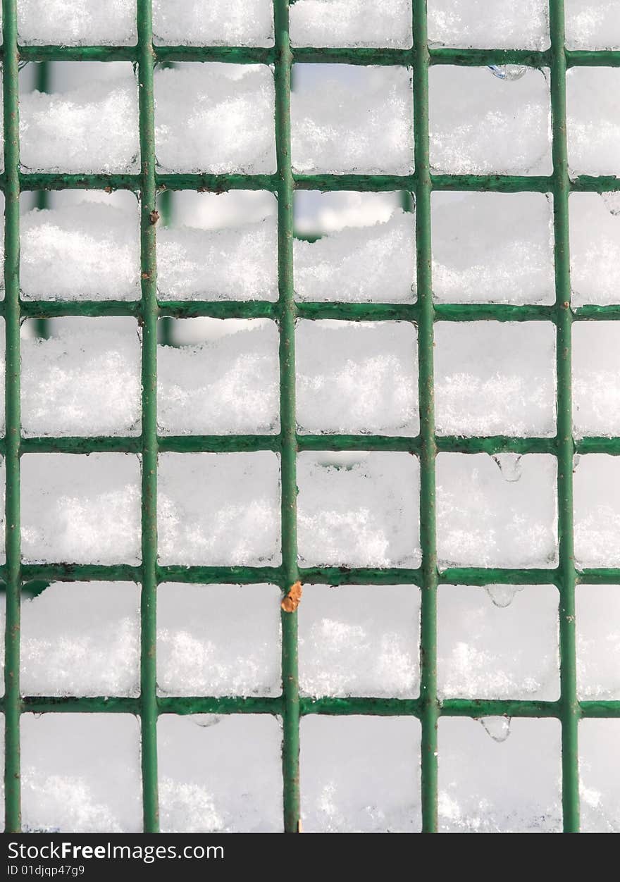 Snow In A Suet Feeder