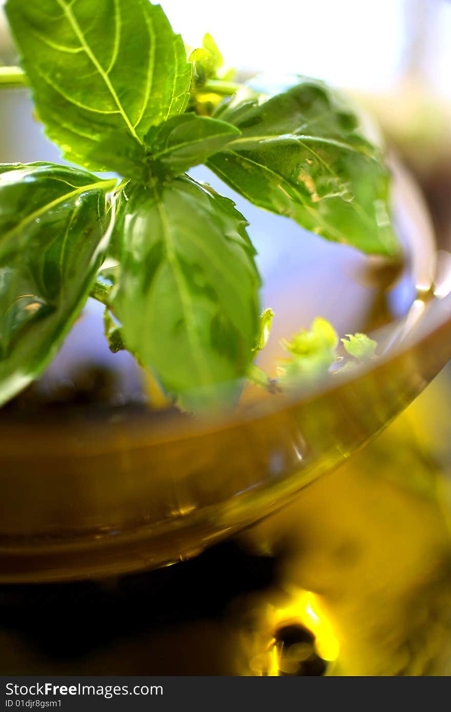 Olive oil with fresh basil on table