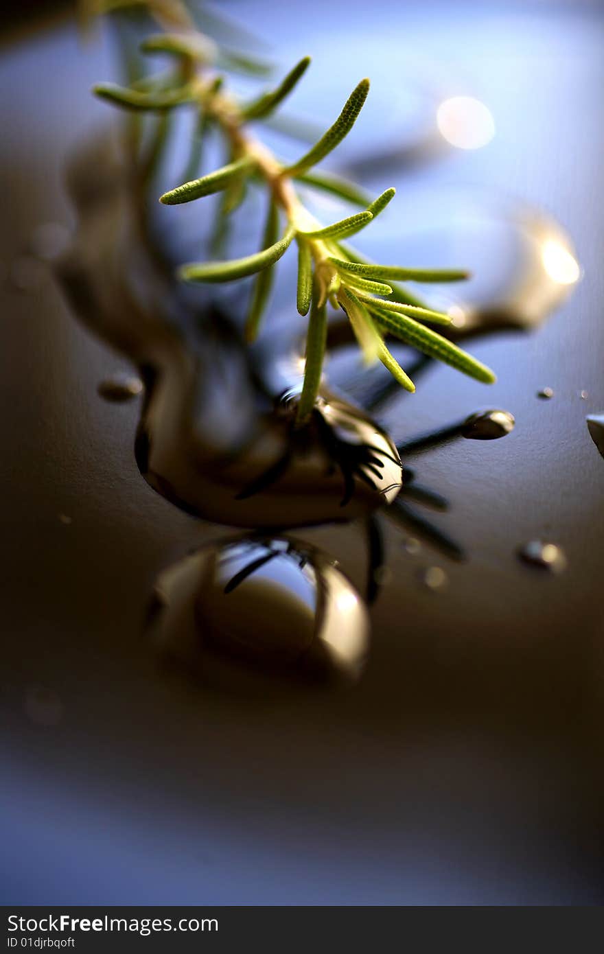 Rosemary twig spice on table