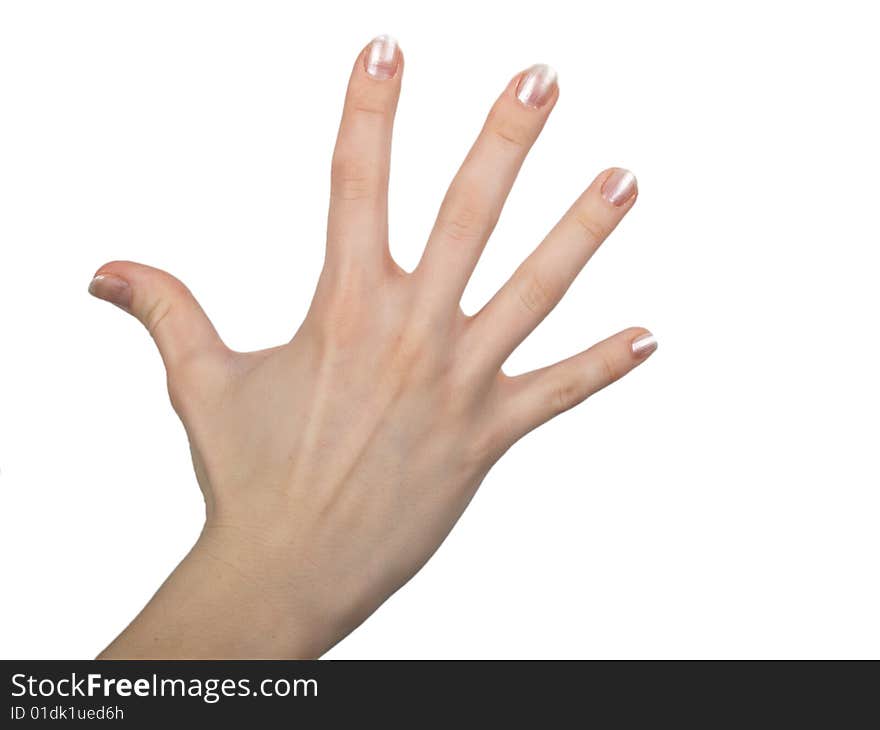 Female hand on a white background. Female hand on a white background