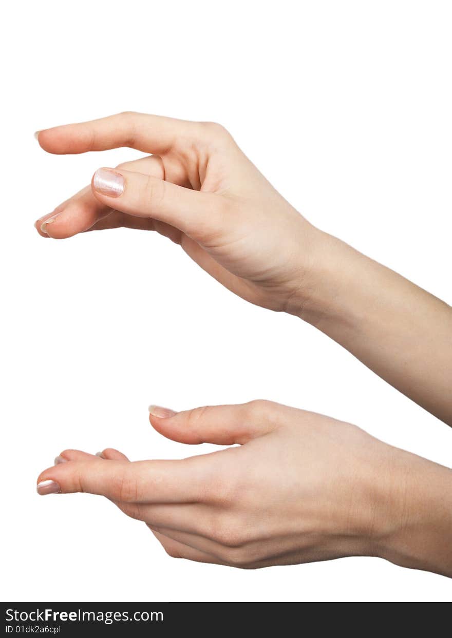 Female hands on a white background