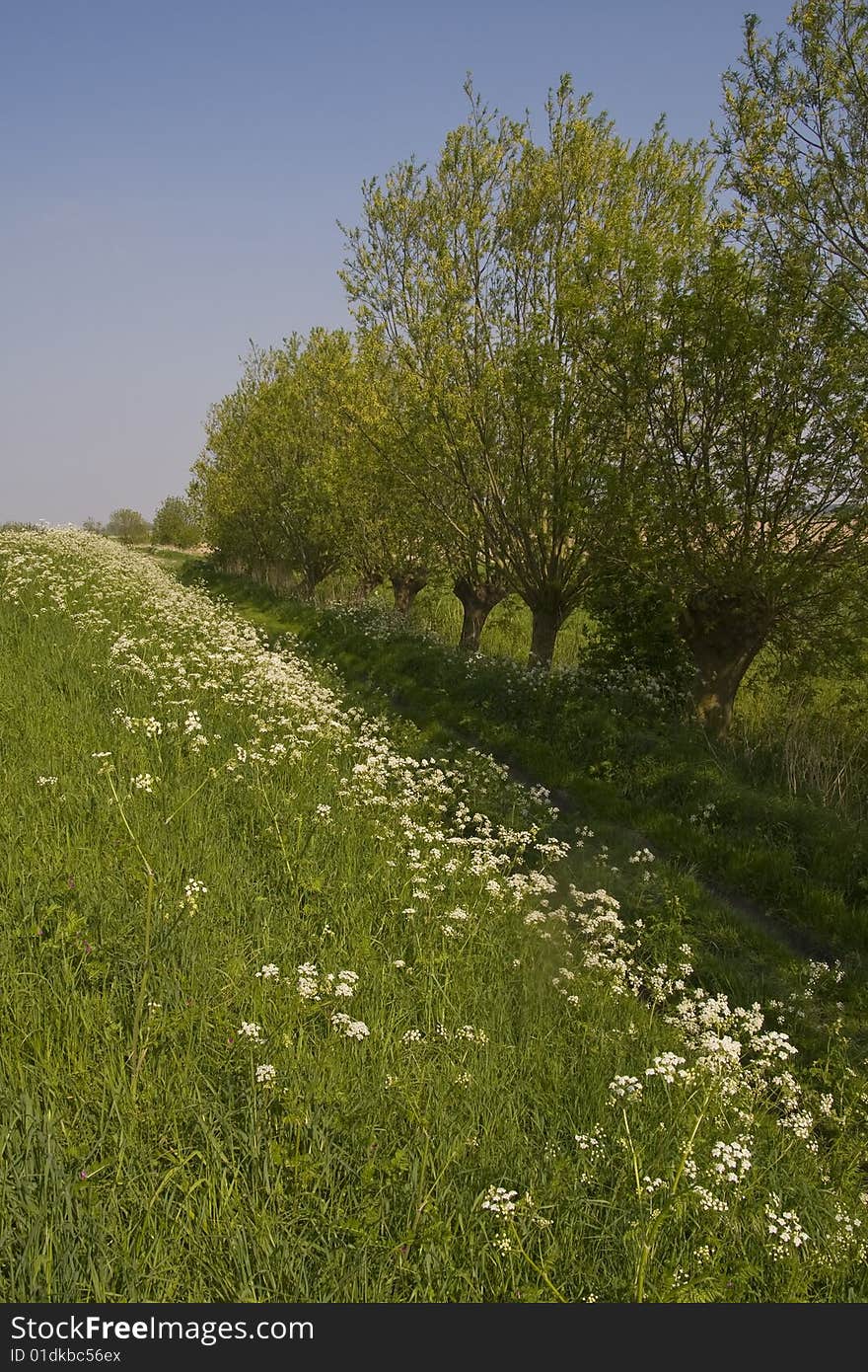 Belgian landscape (Het Zwin area)