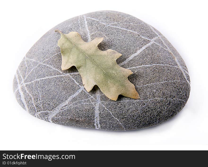 Stone with dry leaf