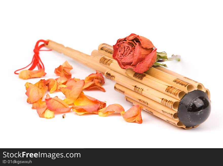 Asian wind instrument with dried rose on it and rose petals around, isolated on white background