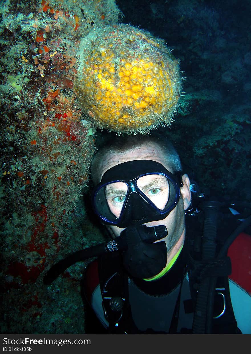 A diver compares his head to a large Orange Ball sponge found in a cave in the Cayman Islands. Funny!. A diver compares his head to a large Orange Ball sponge found in a cave in the Cayman Islands. Funny!