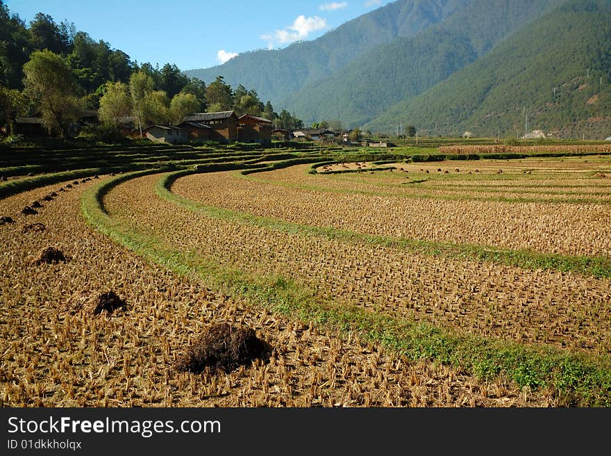 Circular field near lijiang alongside yangtse