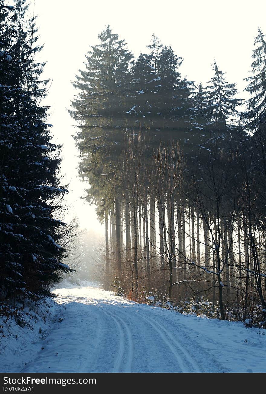 Cross-country skiing snowtrack