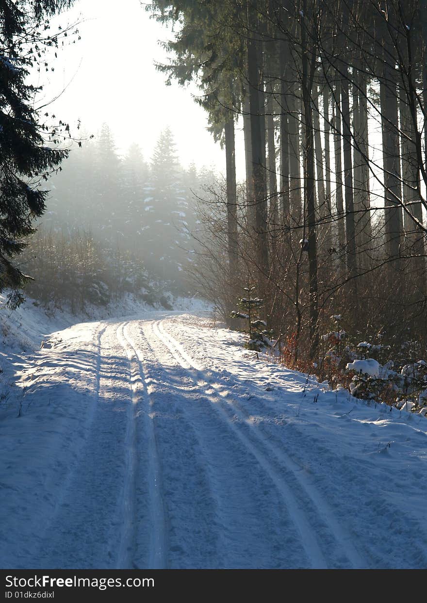 Cross-country skiing snowtrack