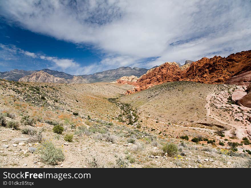 Small valley in the Red Rock Canyon National Reserve, Nevada, USA near Las Vegas. Spring desert flowers in the foreground, mountains in the background. Small valley in the Red Rock Canyon National Reserve, Nevada, USA near Las Vegas. Spring desert flowers in the foreground, mountains in the background.