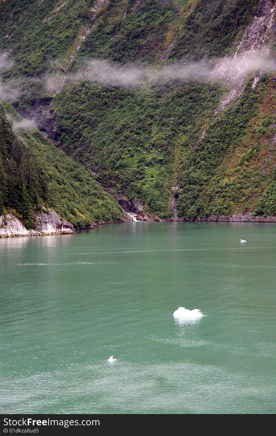 Tracy arm fiord