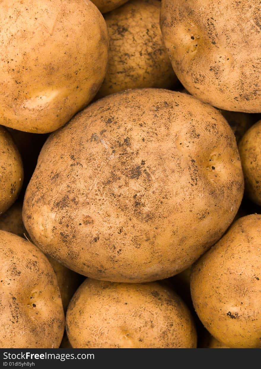 Vegetable agriculture a potato an abstract background