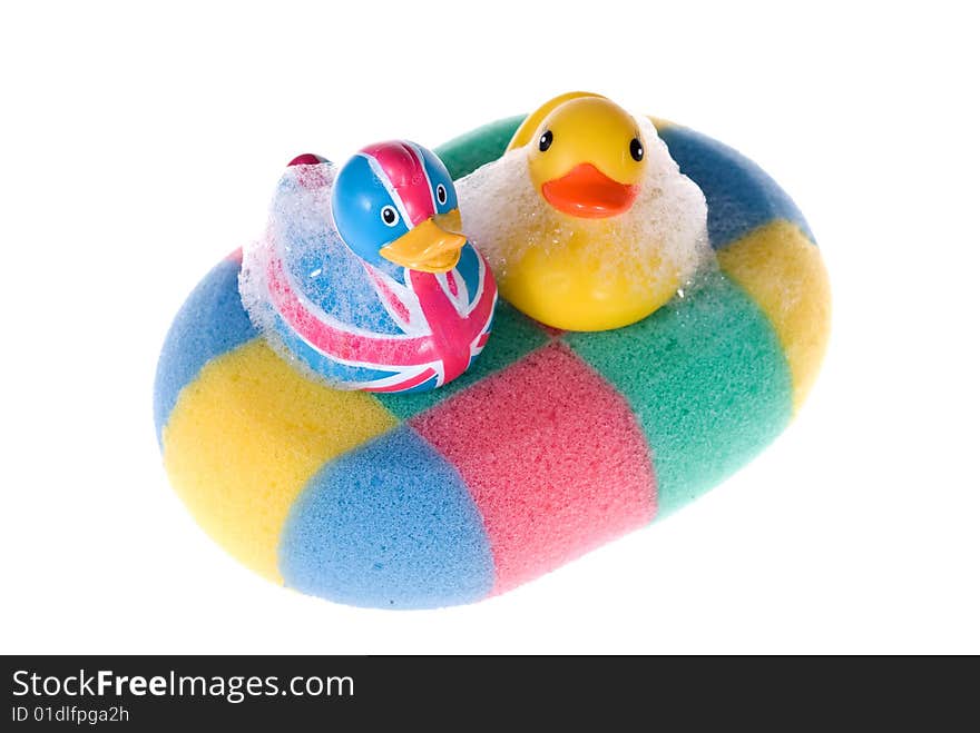 Two rubber duck in white background