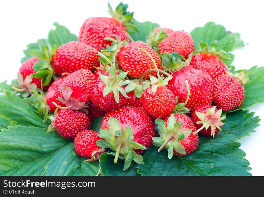 Strawberries on leaves