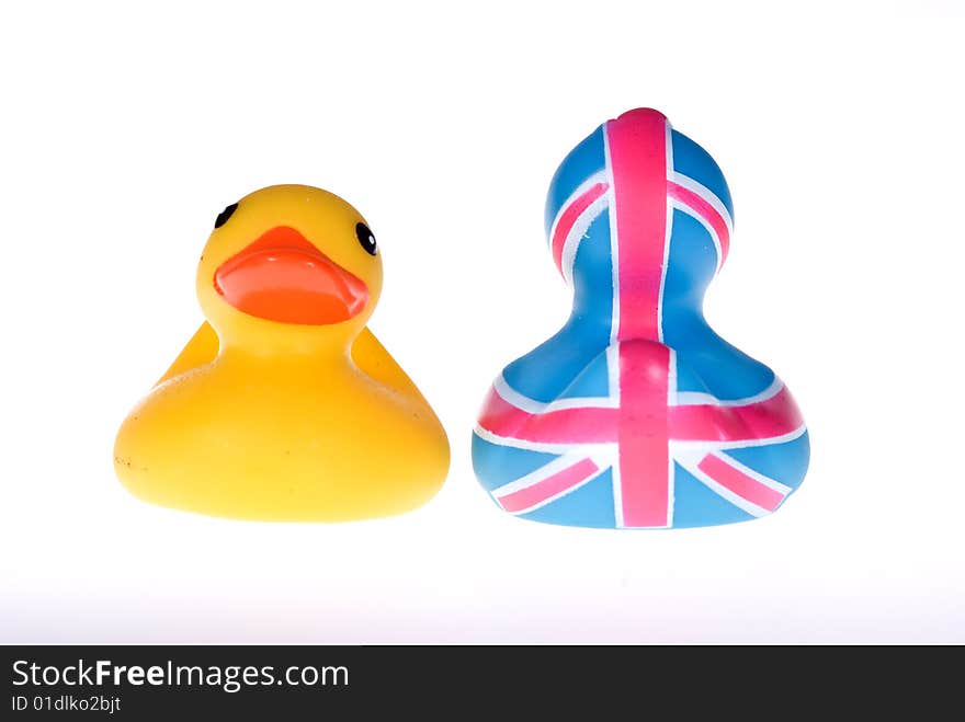 Two rubber duck in white