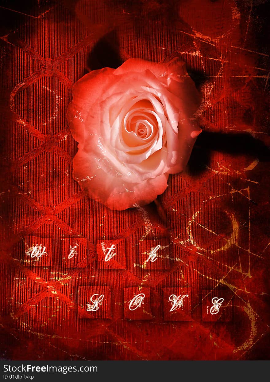 Rose on red  with message painting