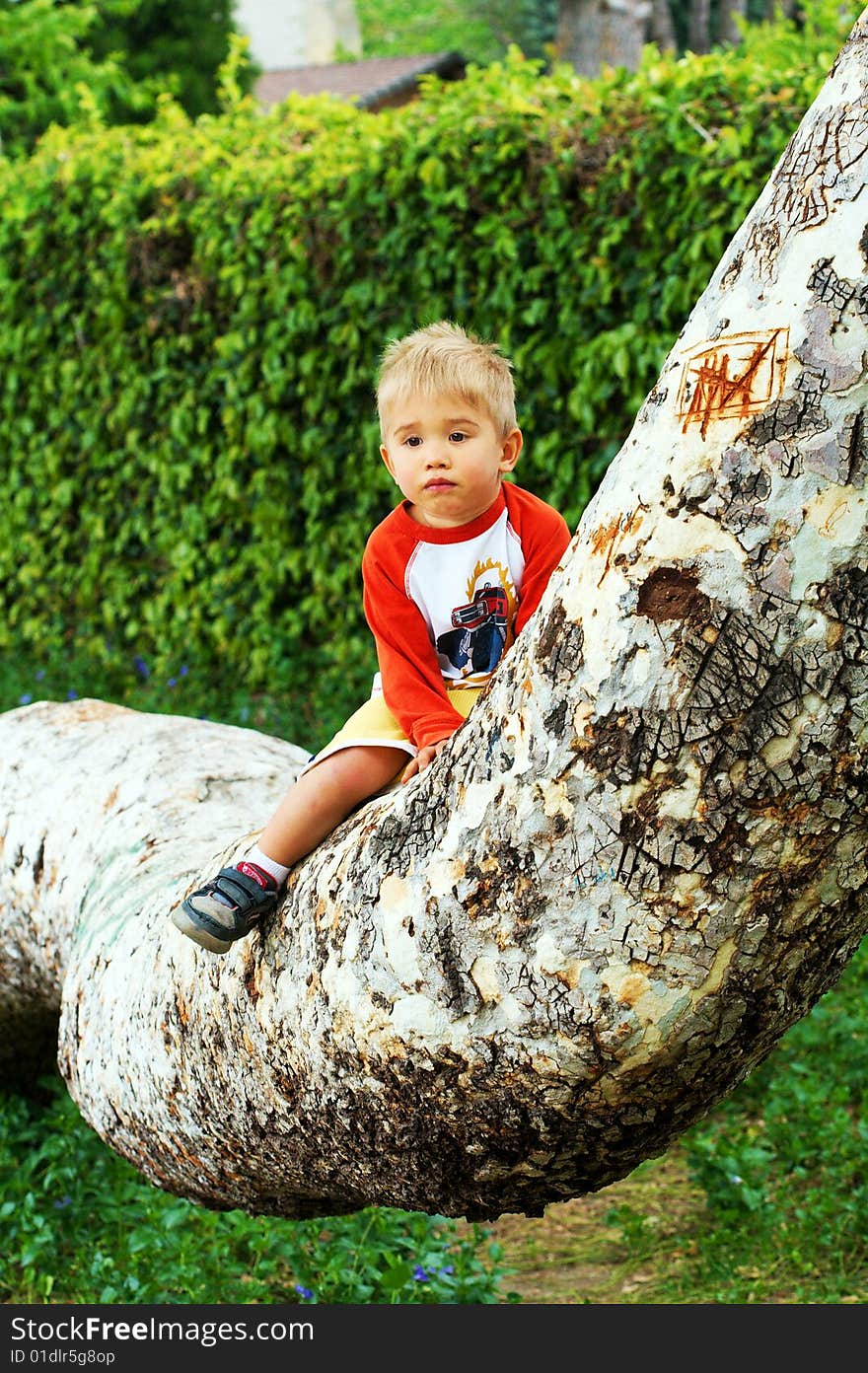 A small boy sitting on a tree