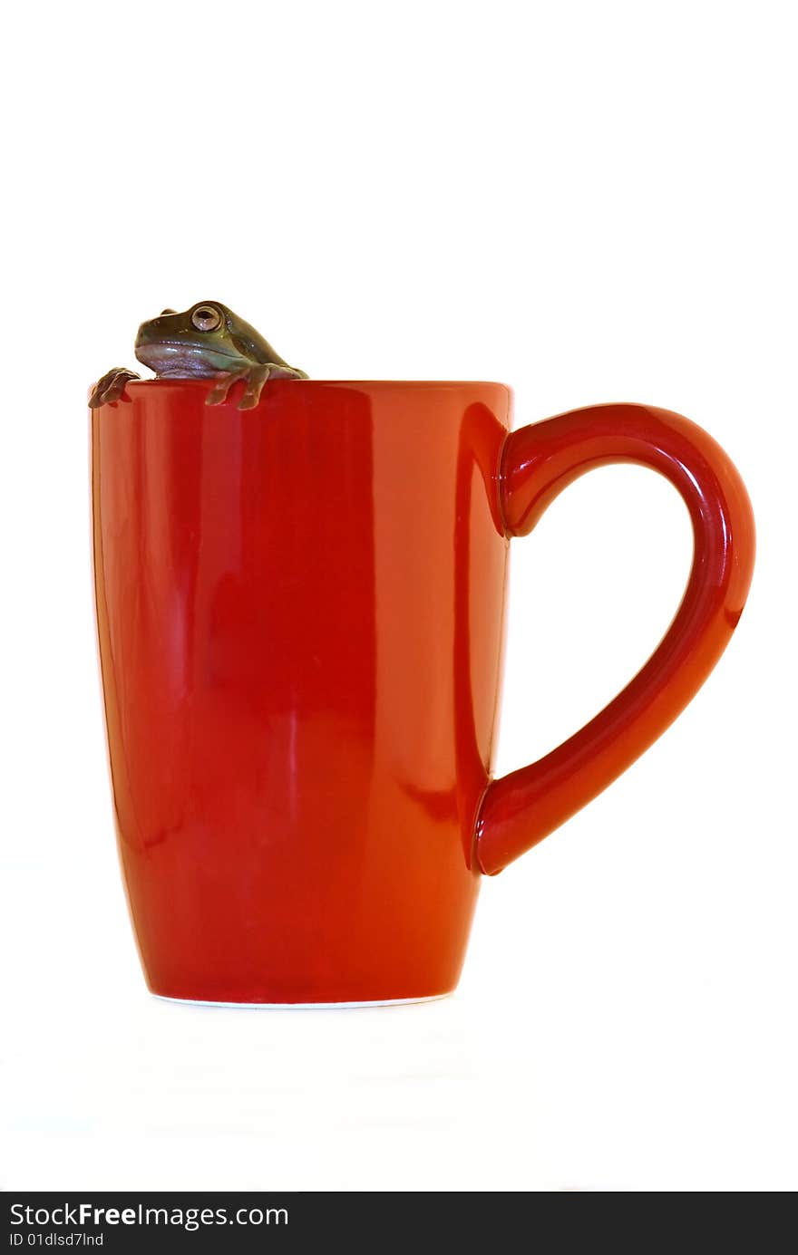 Frog Cup