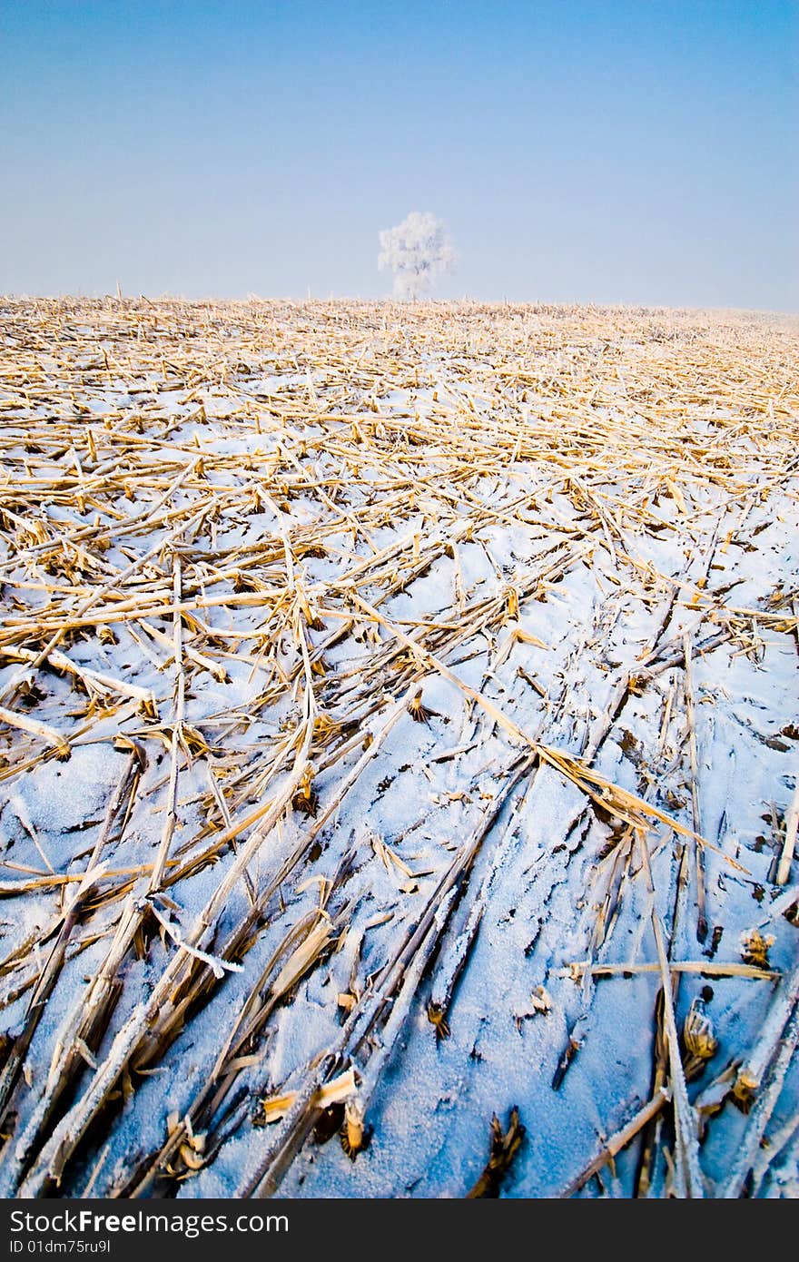 Winter landscape with frosted trees Jilin China