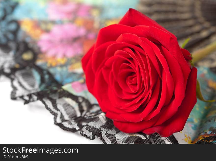 Red rose over fan isolated on white