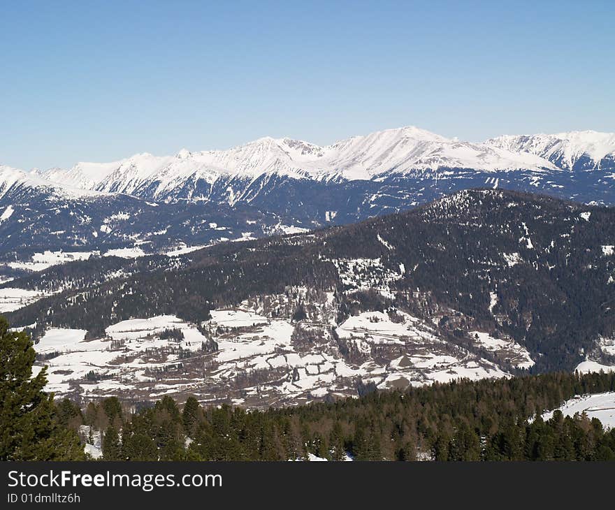 Snowy Mountains with pine trees