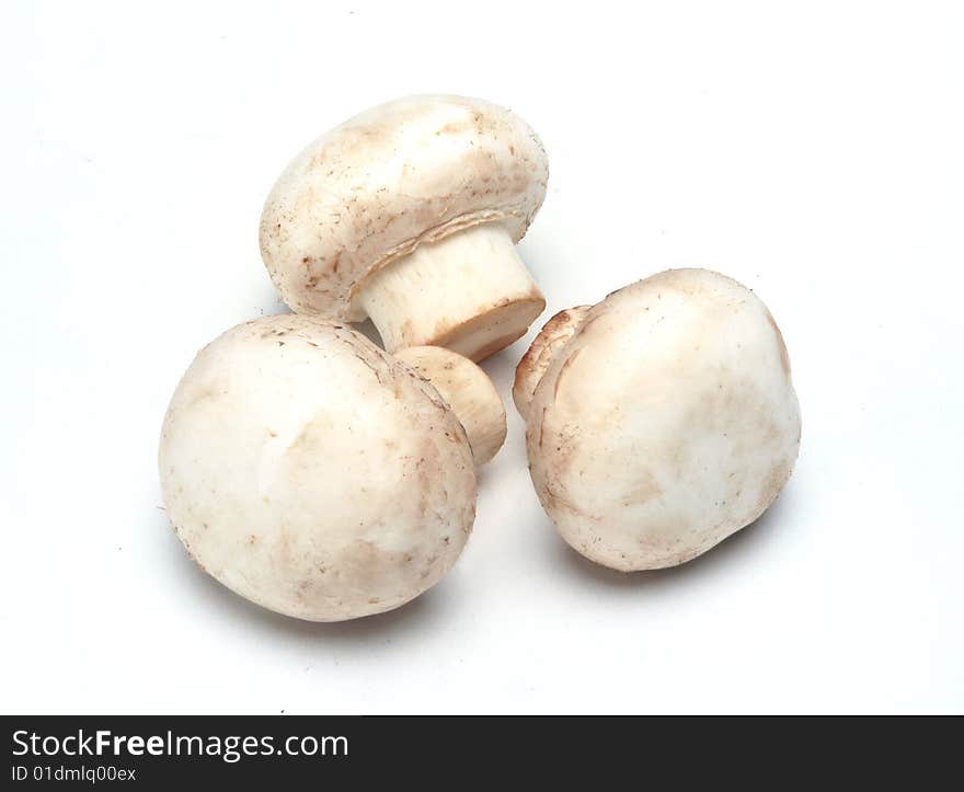 Fresh mushrooms isolated at white