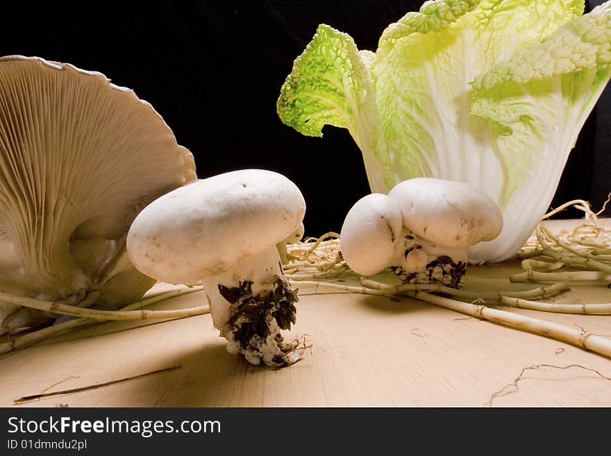 Cabbage and mushroom's microcosm. Cabbage and mushroom's microcosm