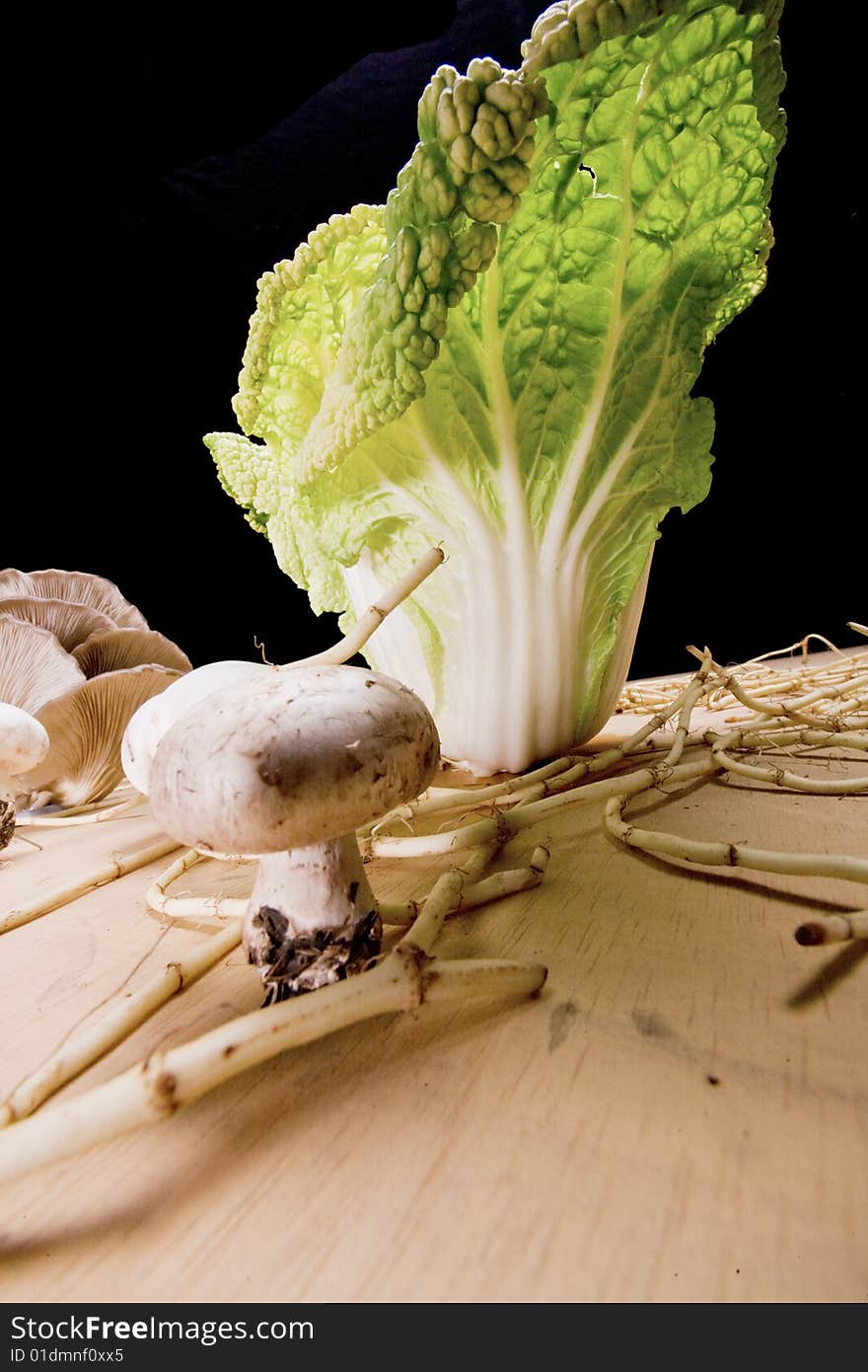 Cabbage and mushroom's microcosm. Cabbage and mushroom's microcosm