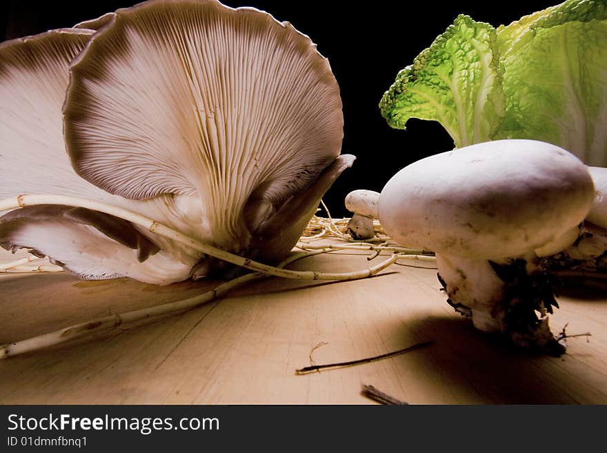 Cabbage and mushroom's microcosm. Cabbage and mushroom's microcosm