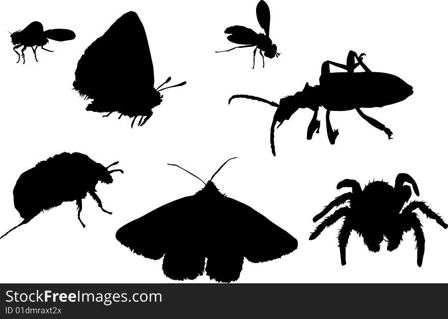 Illustration with butterflies, spider, bugs and flies