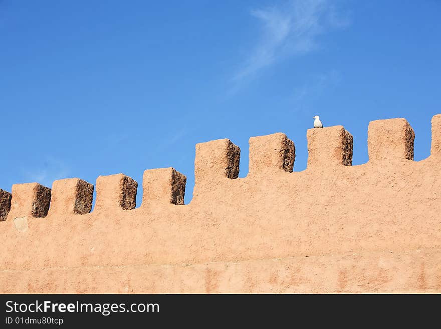 Fortress wall and lonely seagull