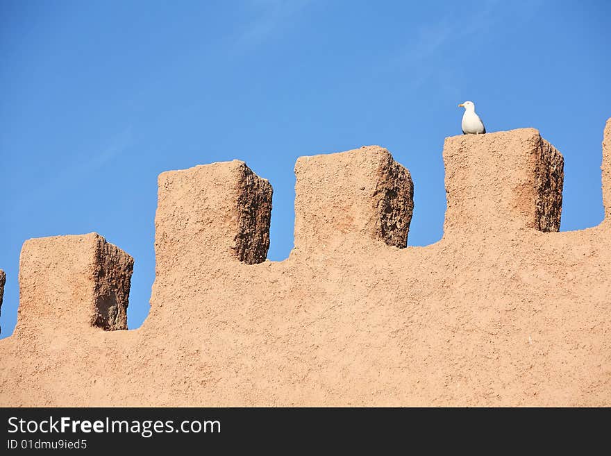 Fortress wall and lonely seagull