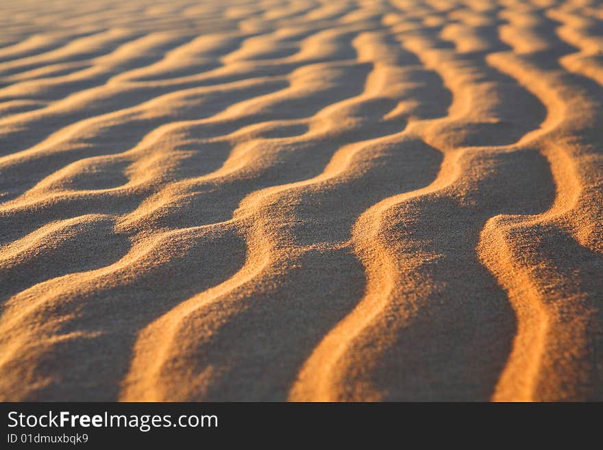 Sahara sand desert - rippled background. Sahara sand desert - rippled background